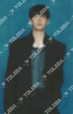 Seventeen ドギョム DxS [SERENDE] ON STAGE - INCHEON PHOTOCARD SET
