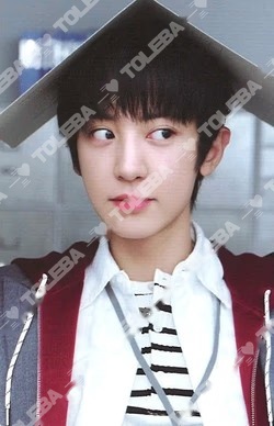 EXO チャニョル 2026 SEASON'S GREETINGS RANDOM TRADING CARD SET A ver