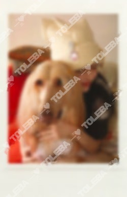 ILLIT ユナ MAMIHLAPINATAPAI APPLEMUSIC_1